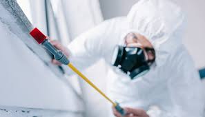 Best Residential Pest Control  in Alturas, FL